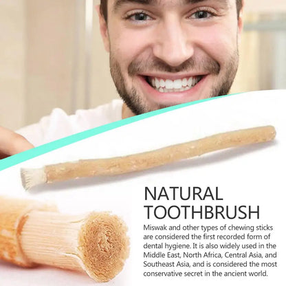 Miswak Siwak Natural Toothbrush